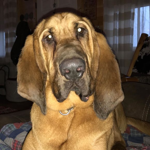 Meet your Posher, Kim - Picture 1 of 1